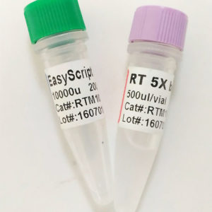 PCR ＆ RT-PCR